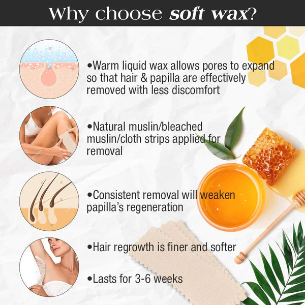 Gigi Soft Wax, All Purpose Honee, 14 oz